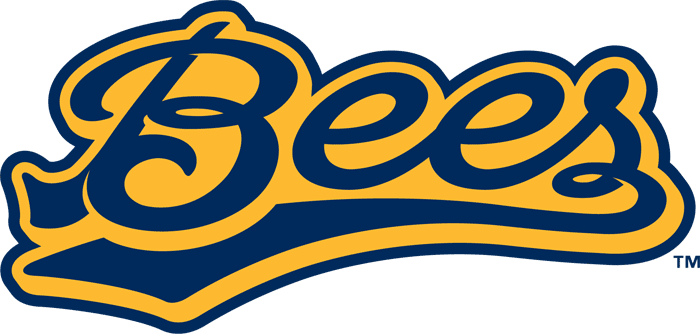 Burlington Bees 2007-Pres Wordmark Logo iron on transfers for clothing